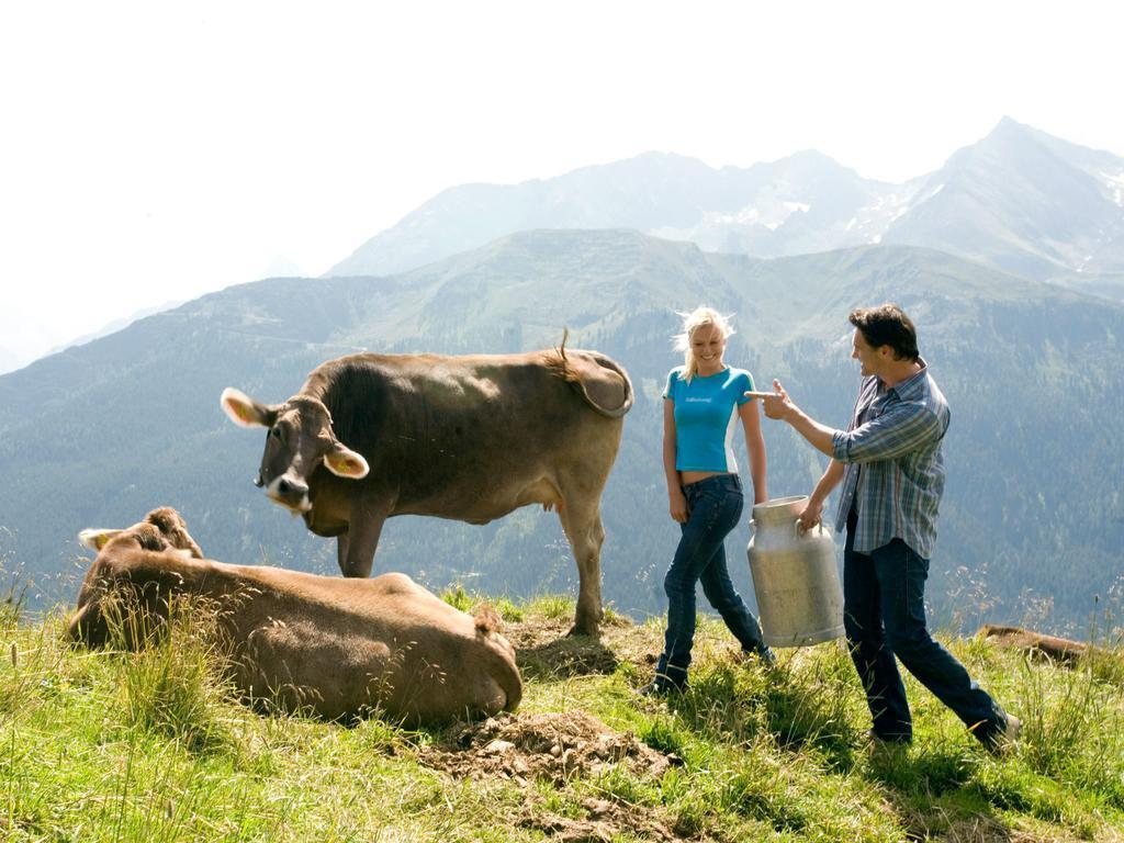 Gasthof Pension Madseiterhof Тукс Екстериор снимка